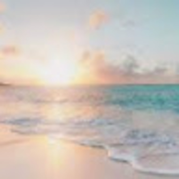 Meet your Posher, Allison - Picture 1 of 1